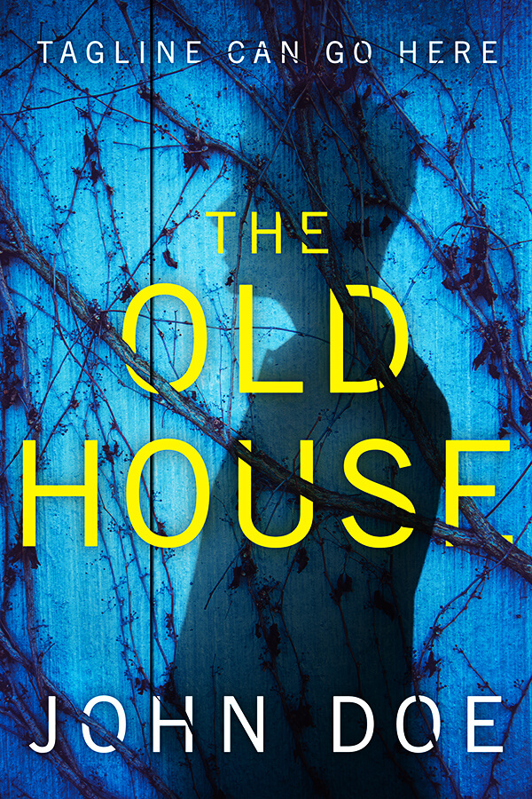 The Old House