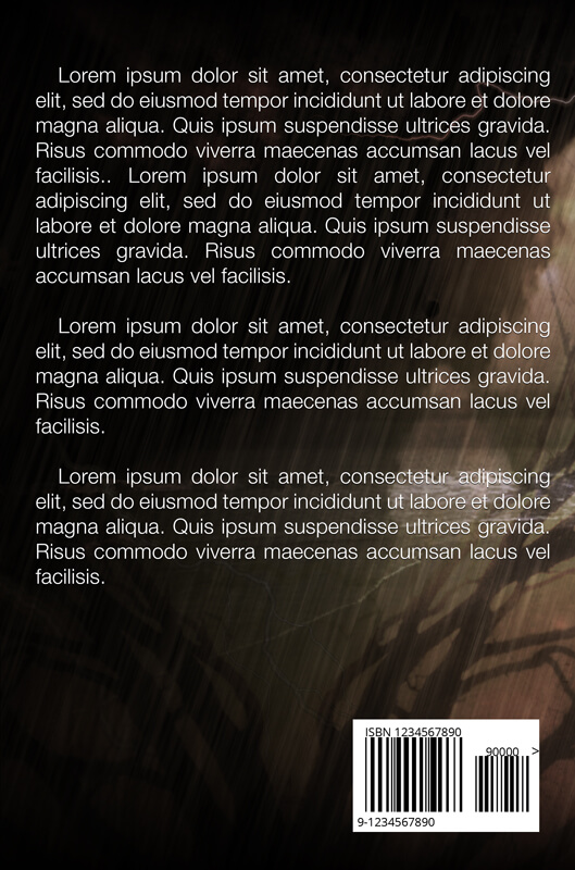 Hard feelings - Book Cover - Mystery | Spiritual | Fantasy - Image 3