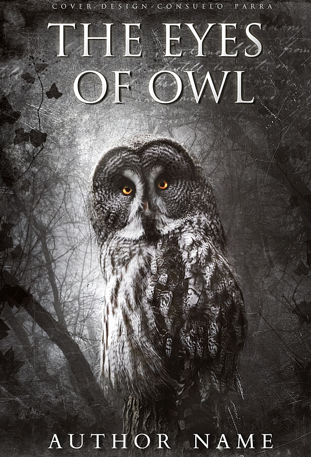 The eyes of owl
